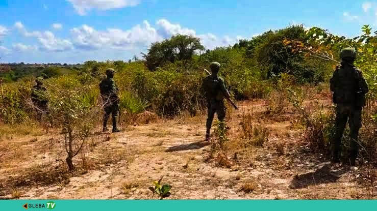 Forças de Defesa e Segurança abatem mais de cinco terroristas em Macomia